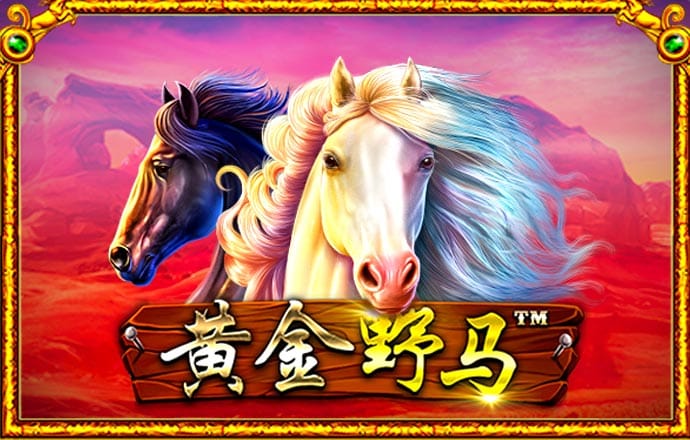 k1体育app下载注册
